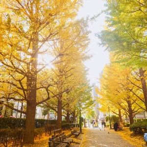 Meet your Posher, Lena